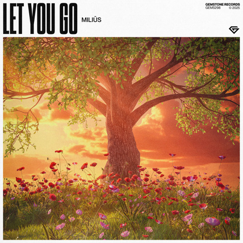 Miliūs - Let You Go