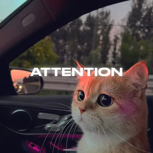 Rendow - Attention (feat. Isvnbitov)